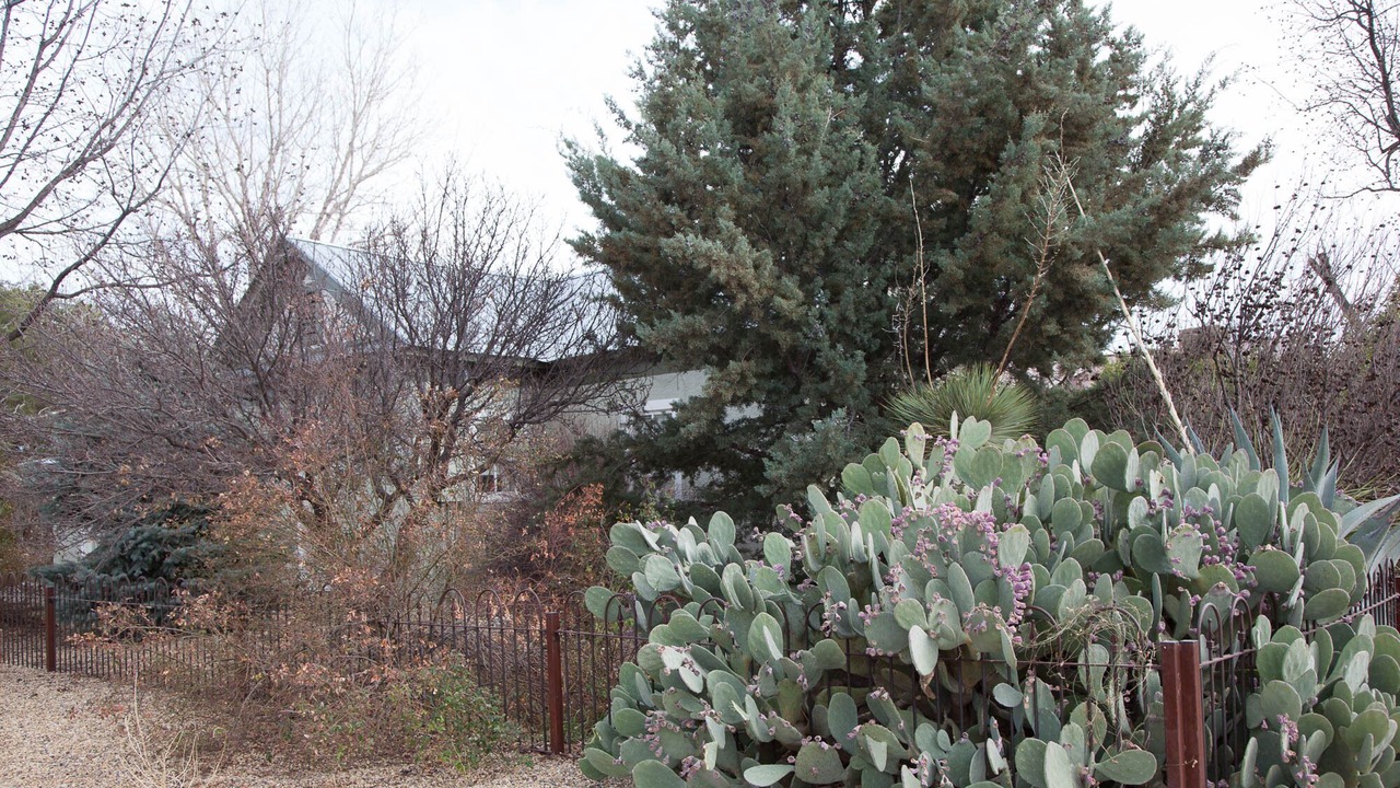Photo of Outdoor in Marfa