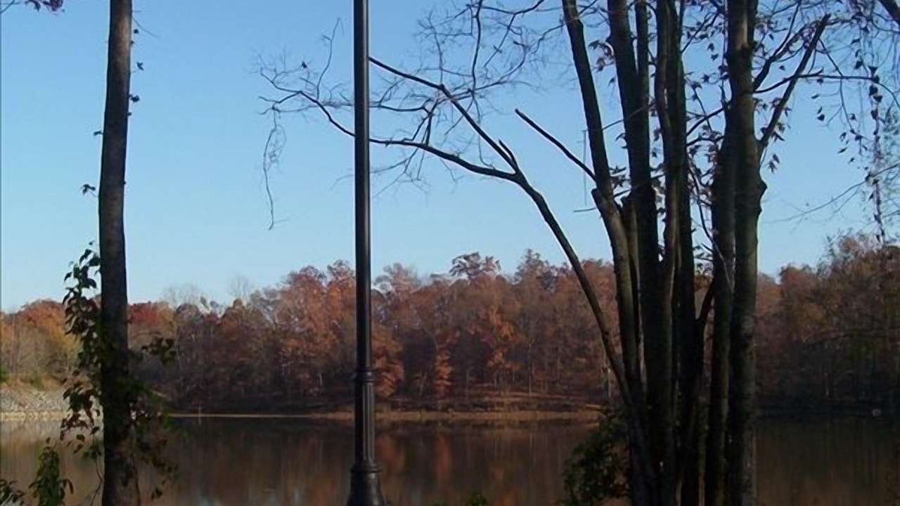Photo of Outdoor in Grand Rivers