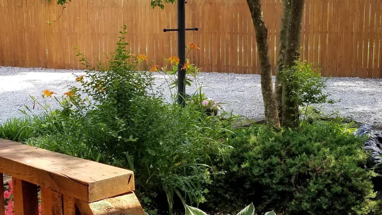 Photo of Outdoor in Fletcher