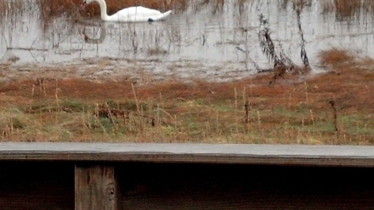 Photo of Others in Orleans