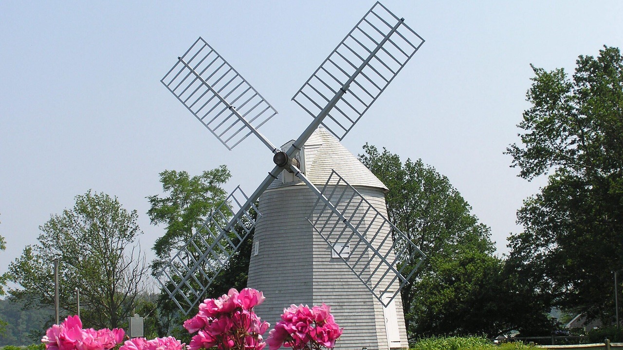 Photo of Others in Orleans