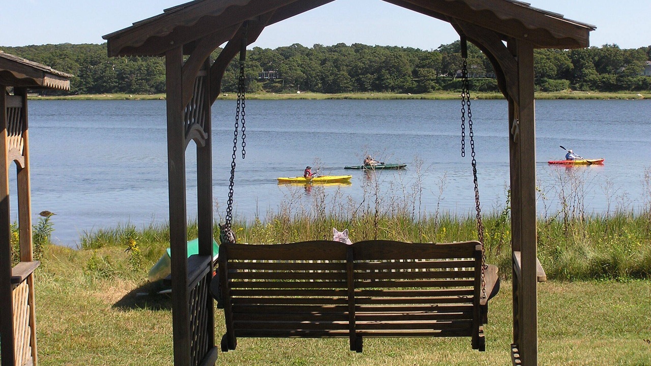 Photo of Others in Orleans