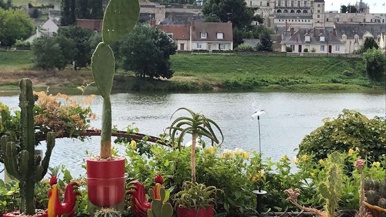 Photo of Outdoor in Amboise