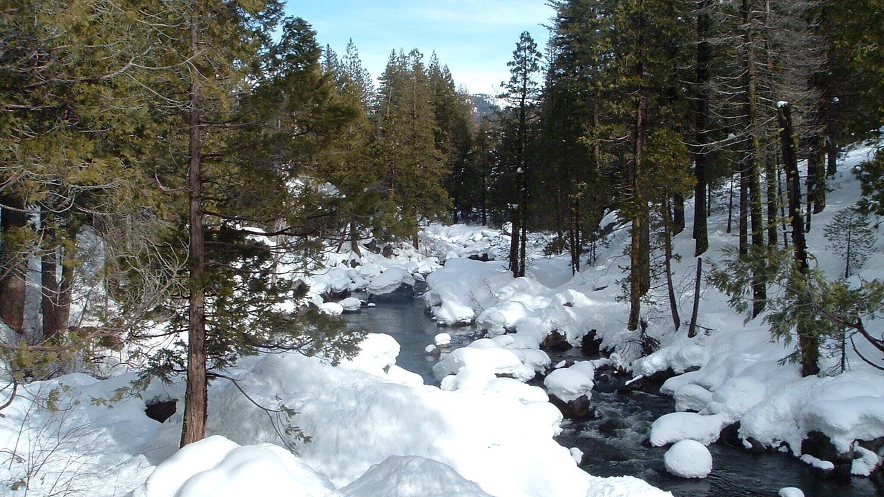 Photo of Others in Strawberry