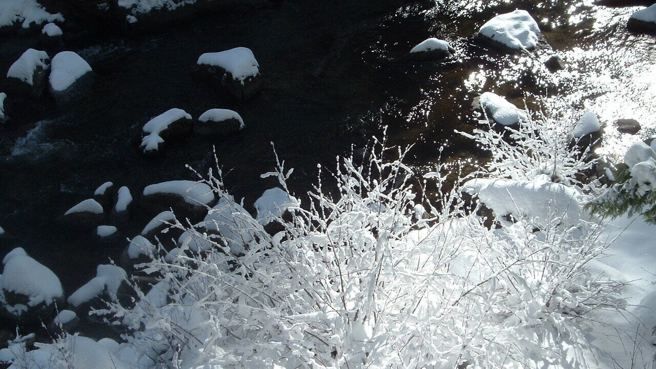 Photo of Others in Strawberry