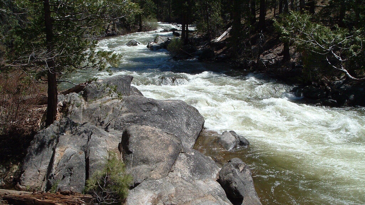 Photo of Others in Strawberry