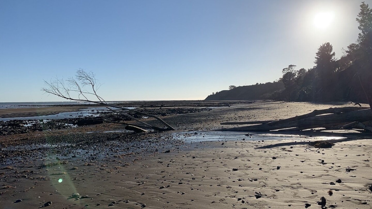 Photo of Others in Bolinas