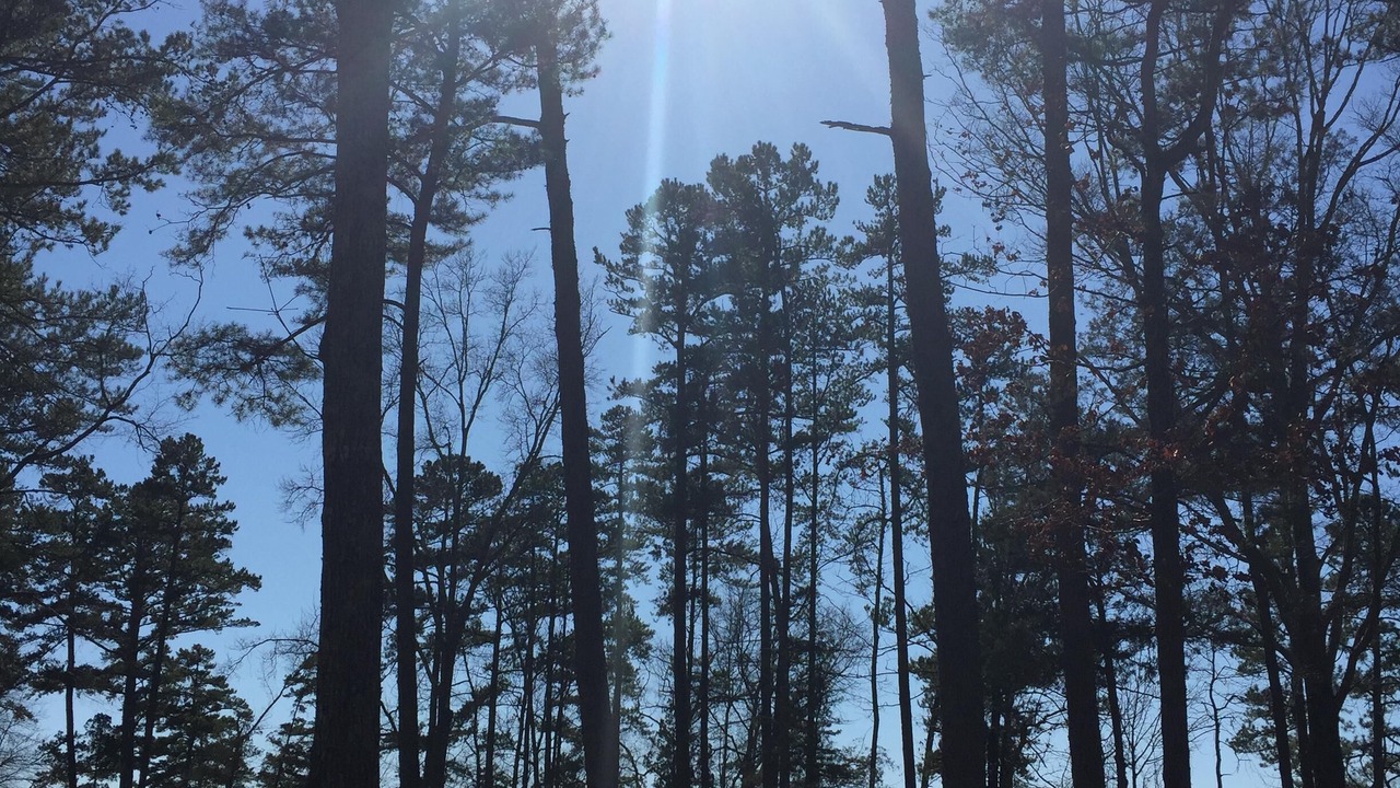 Photo of Outdoor in Merifield Acres