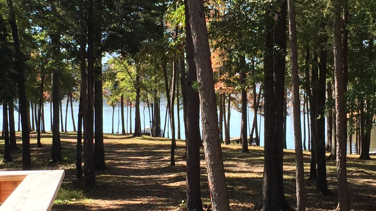 Photo of Others in Merifield Acres