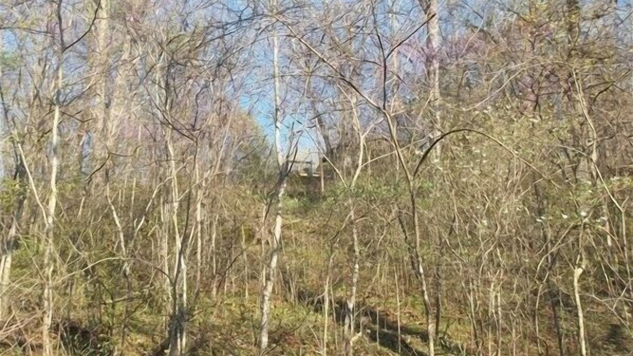 Photo of Others in Cuba