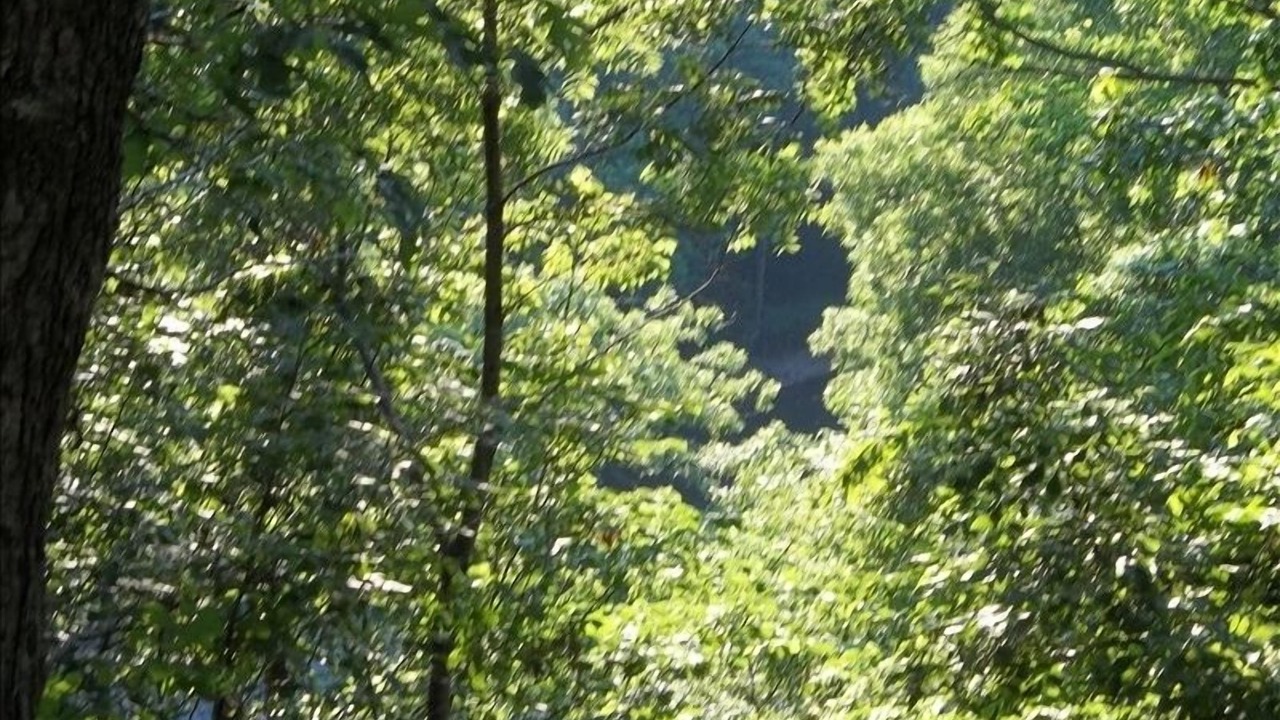 Photo of Others in Cuba