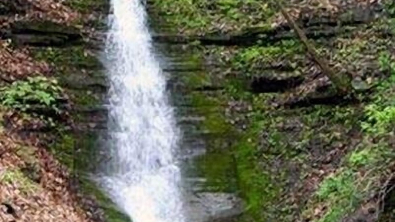 Photo of Outdoor in Naples