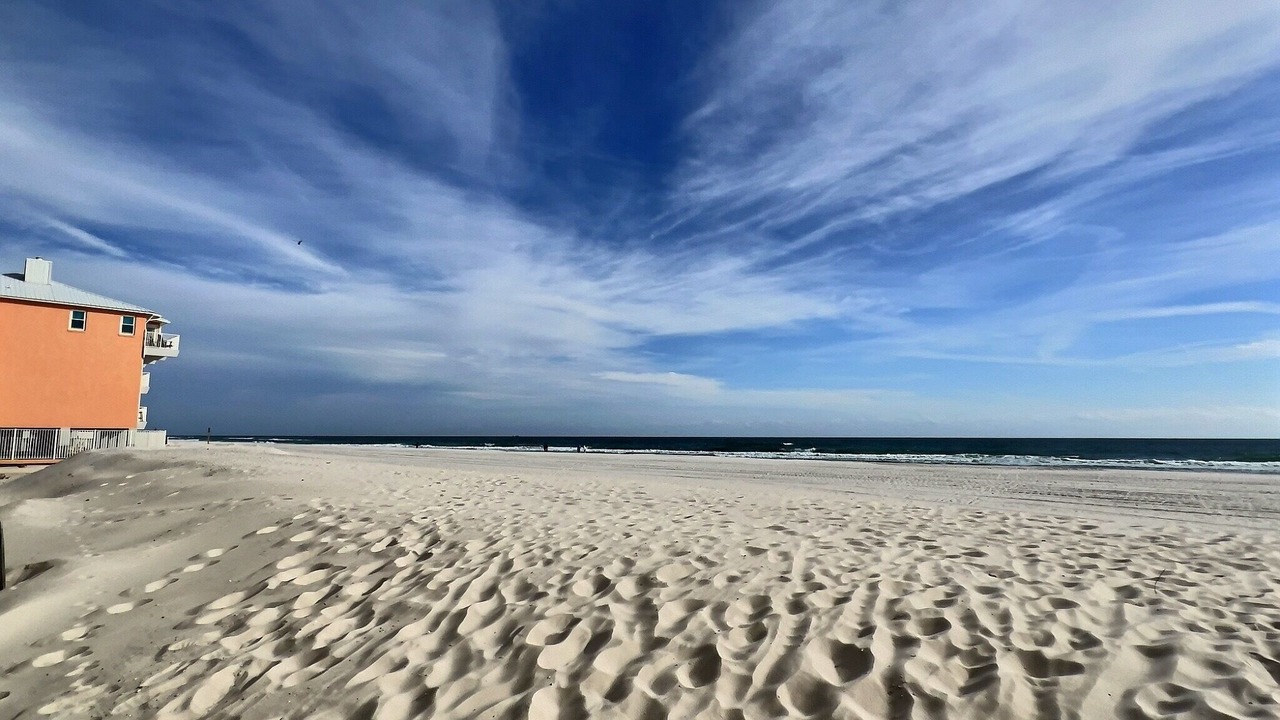 Photo of Others in Gulf Shores