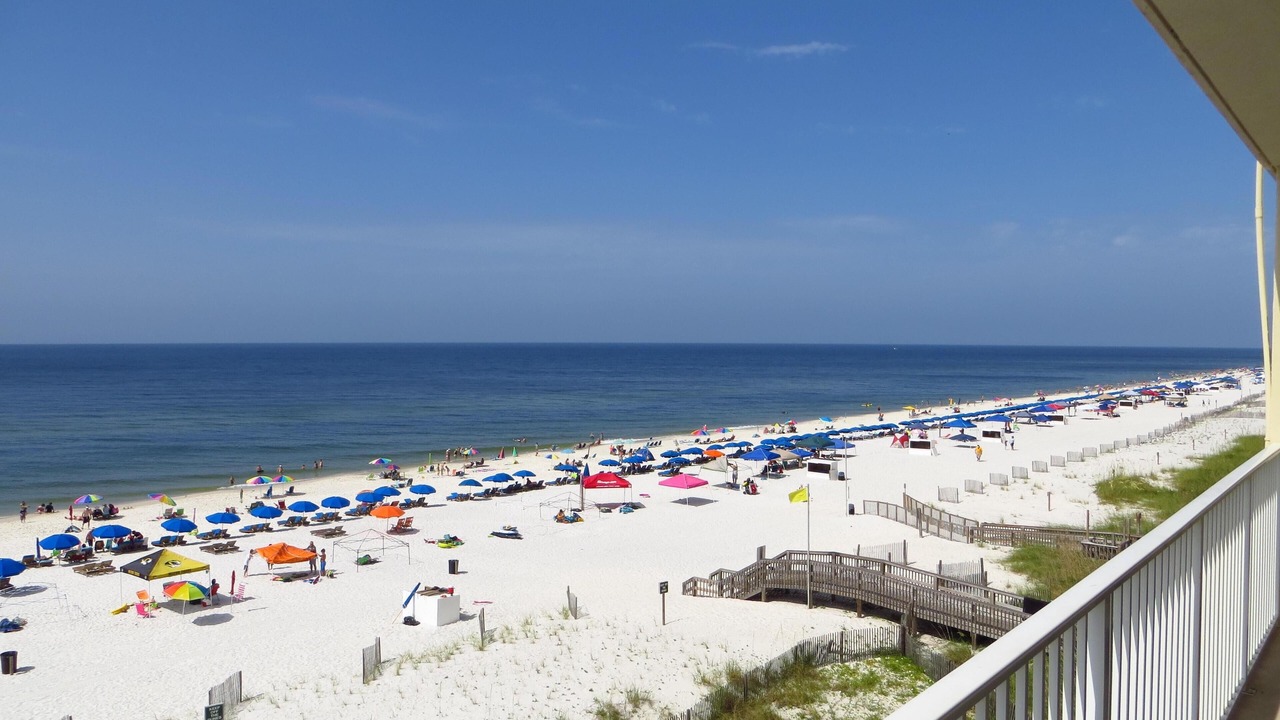 Photo of Others in Gulf Shores