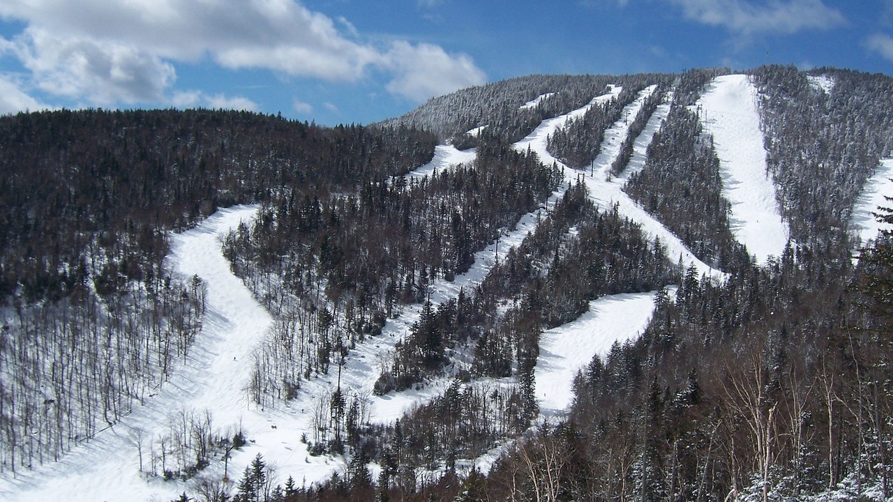Photo of Others in North Creek