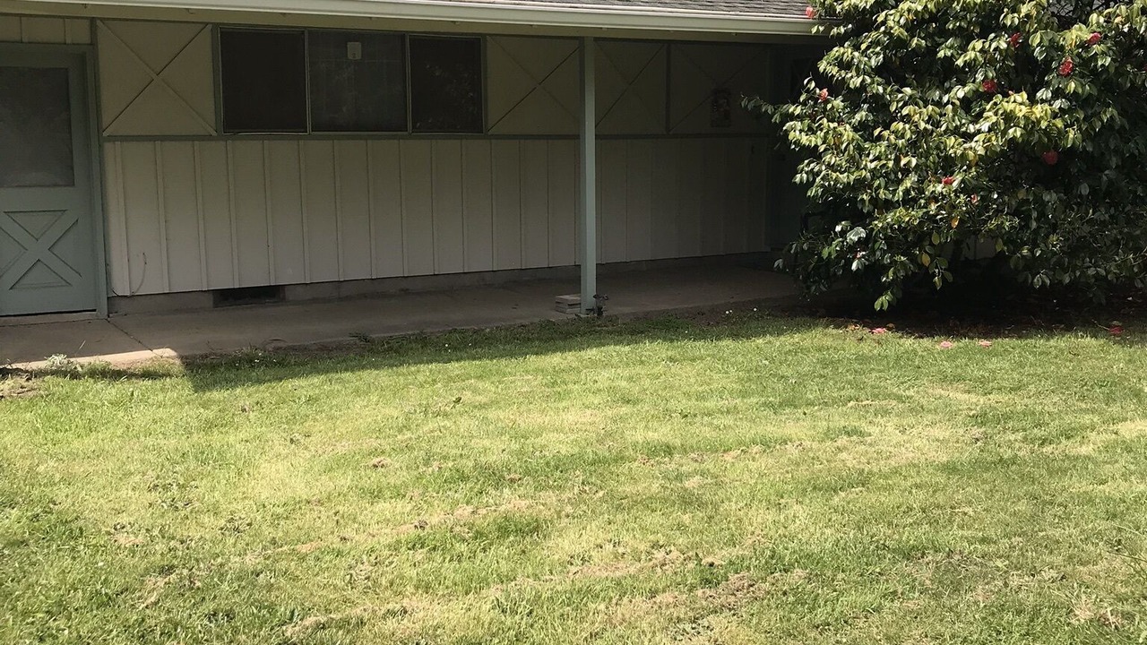 Photo of Others in Ocean Park