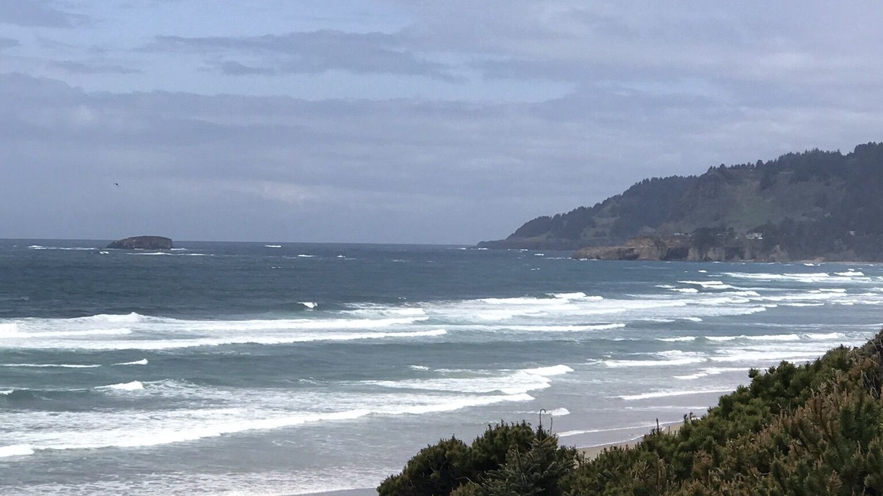 Photo of Others in Ocean Park