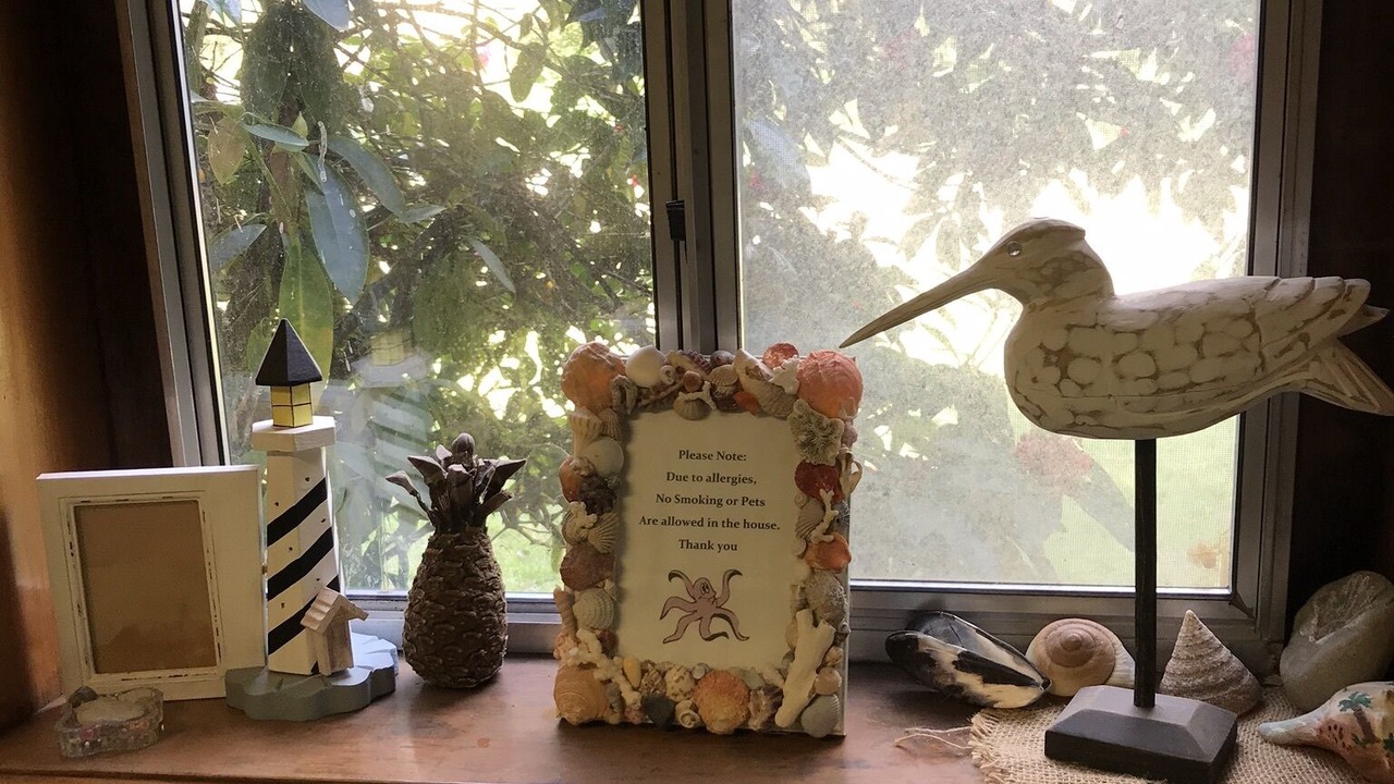 Photo of Others in Ocean Park