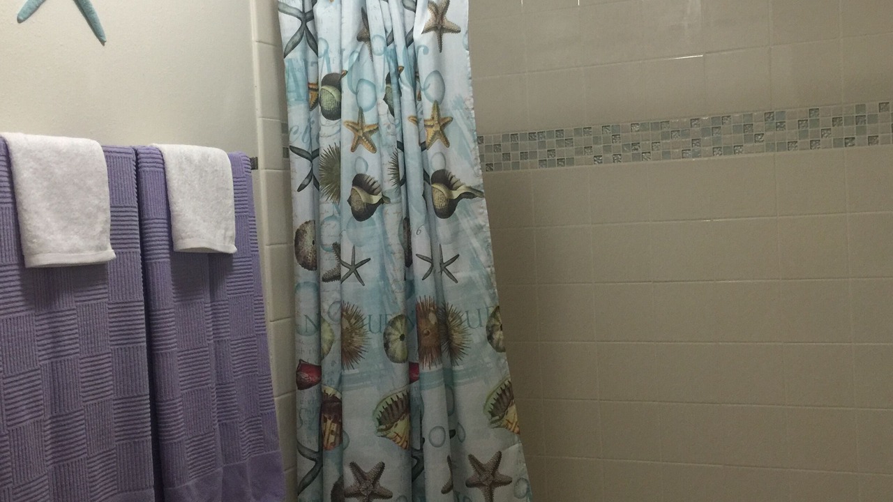 Photo of Others in Ocean Park