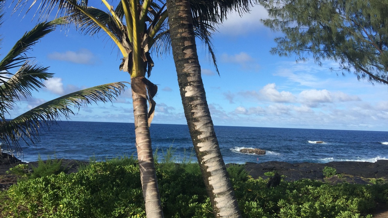 Photo of Others in Keaau