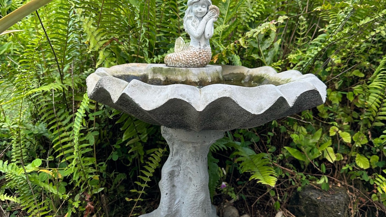 Photo of Outdoor in Keaau