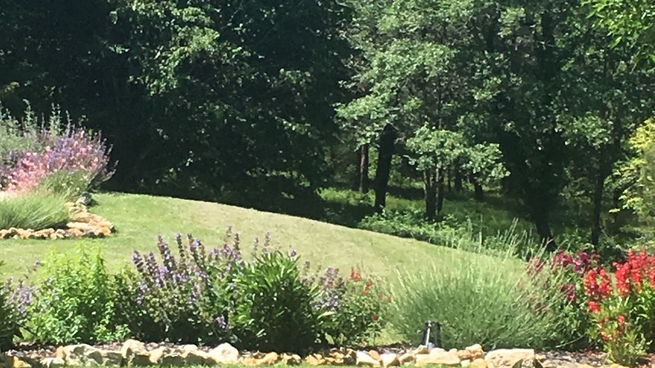 Photo of Outdoor in Baneuil