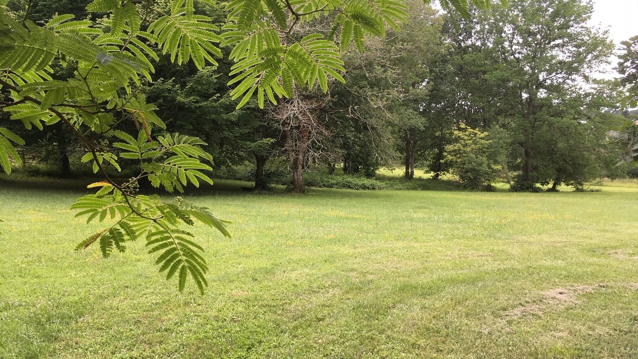 Photo of Outdoor in Baneuil