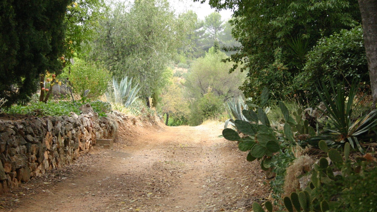 Photo of Outdoor in Saint-Genies-de-Fontedit