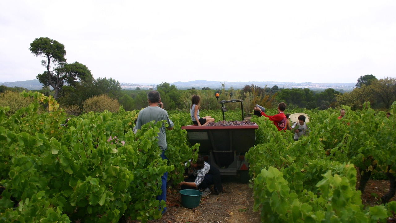 Photo of Outdoor in Saint-Genies-de-Fontedit
