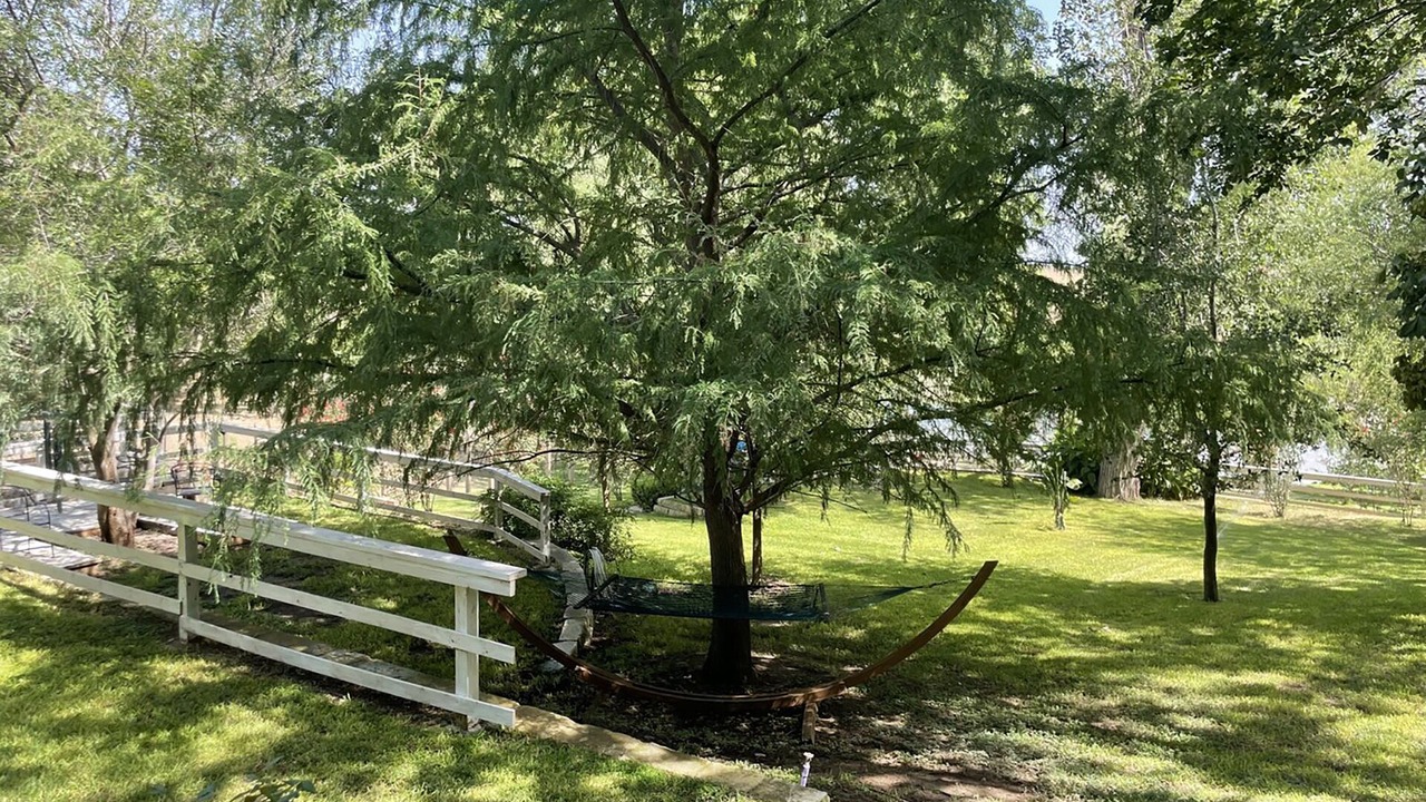 Photo of Others in Bastrop