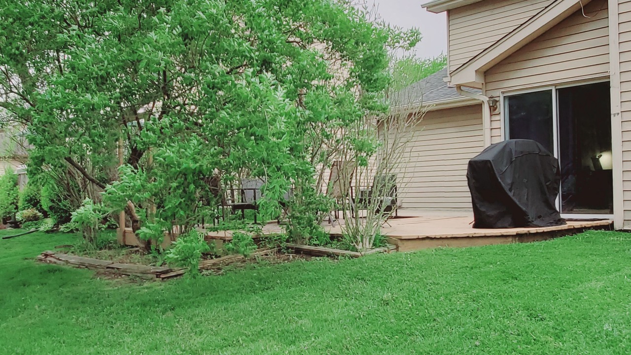 Photo of Others in Naperville