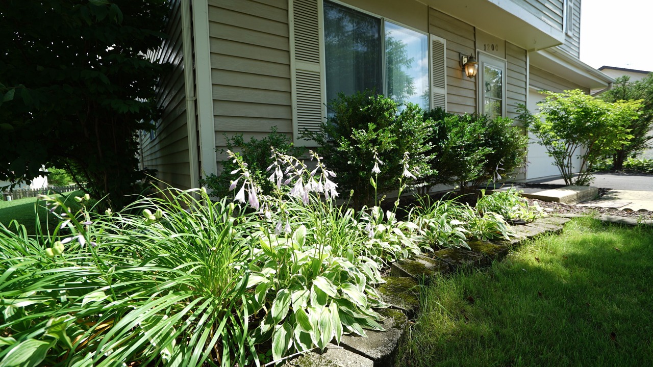 Photo of Outdoor in Naperville