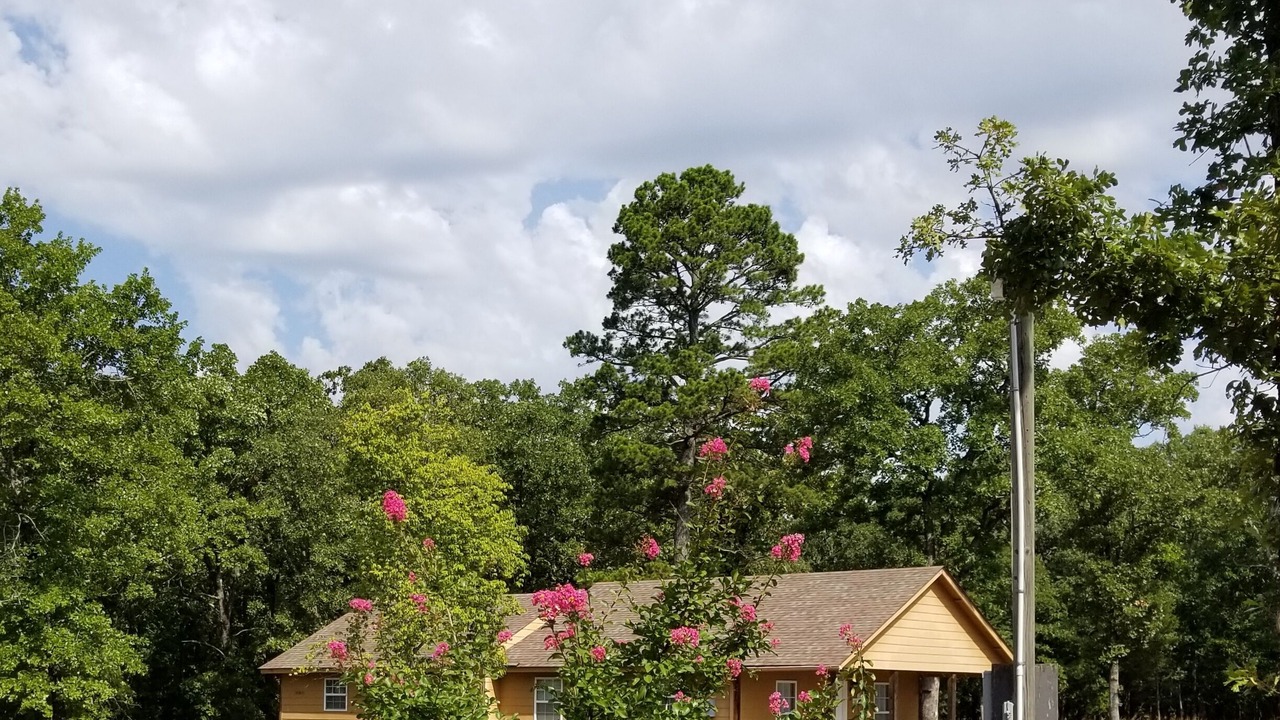 Photo of Outdoor in Golden