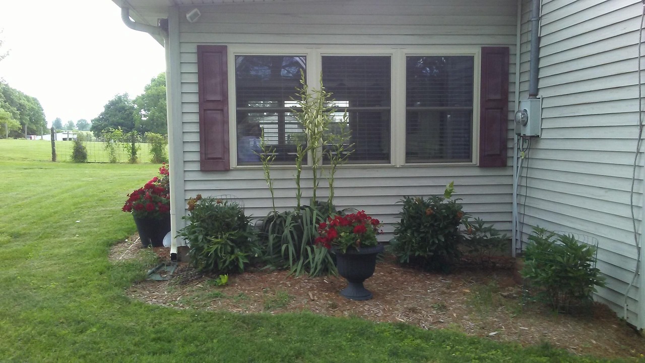 Photo of Others in Versailles