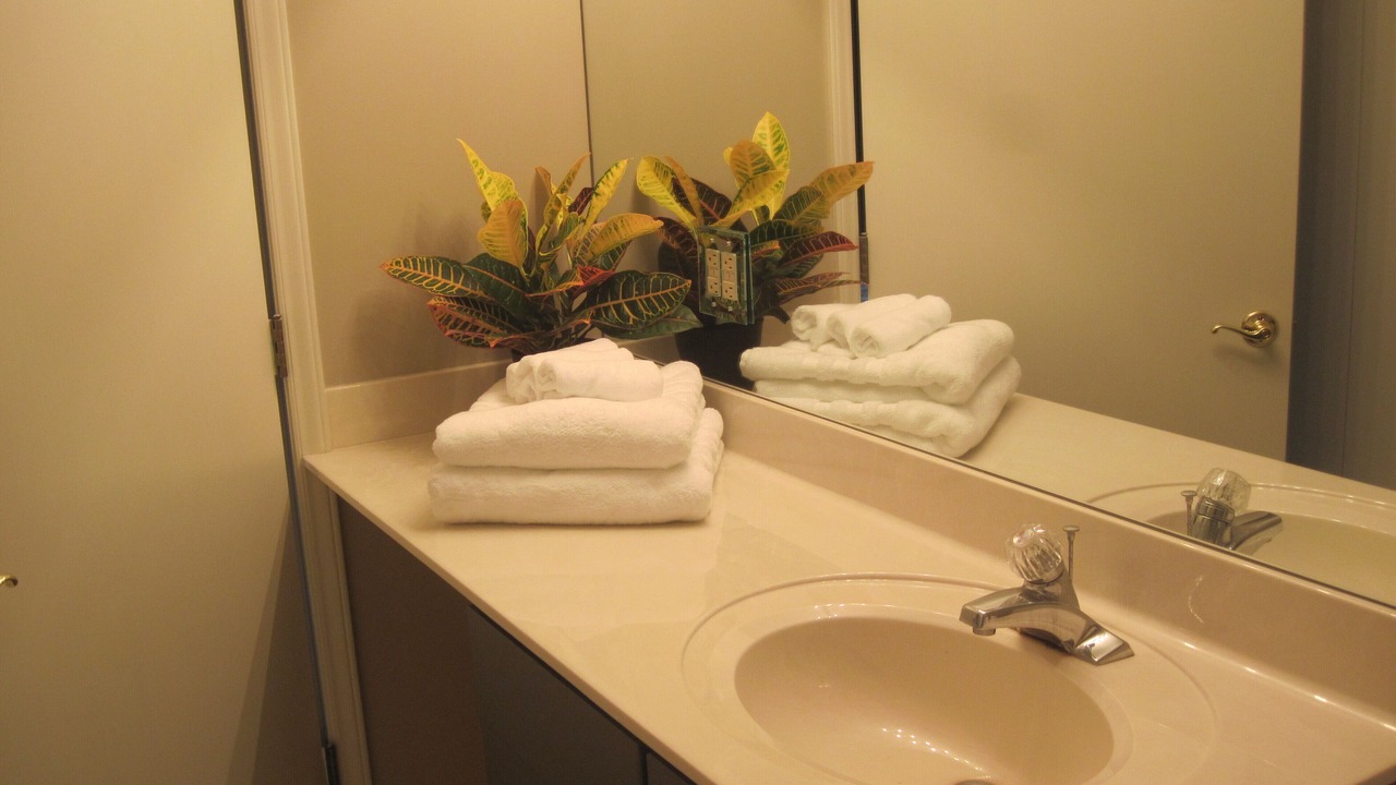 Photo of Others in Versailles