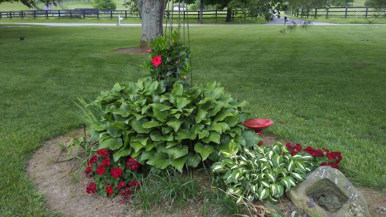 Photo of Outdoor in Versailles