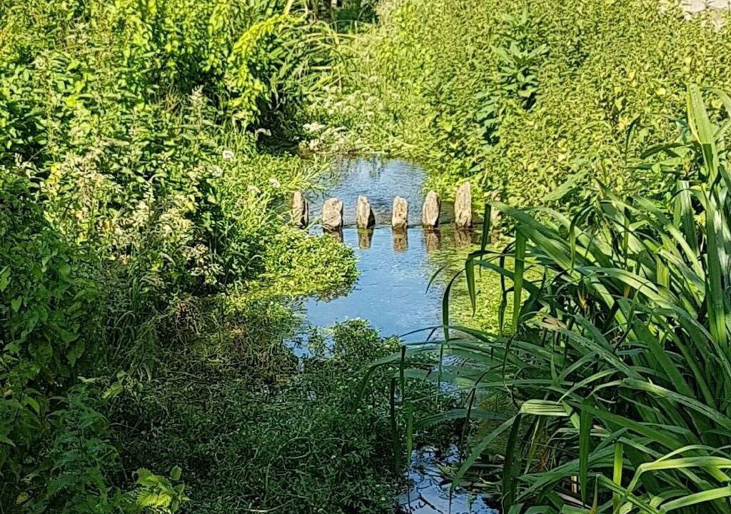 Photo of Others in Yeovil