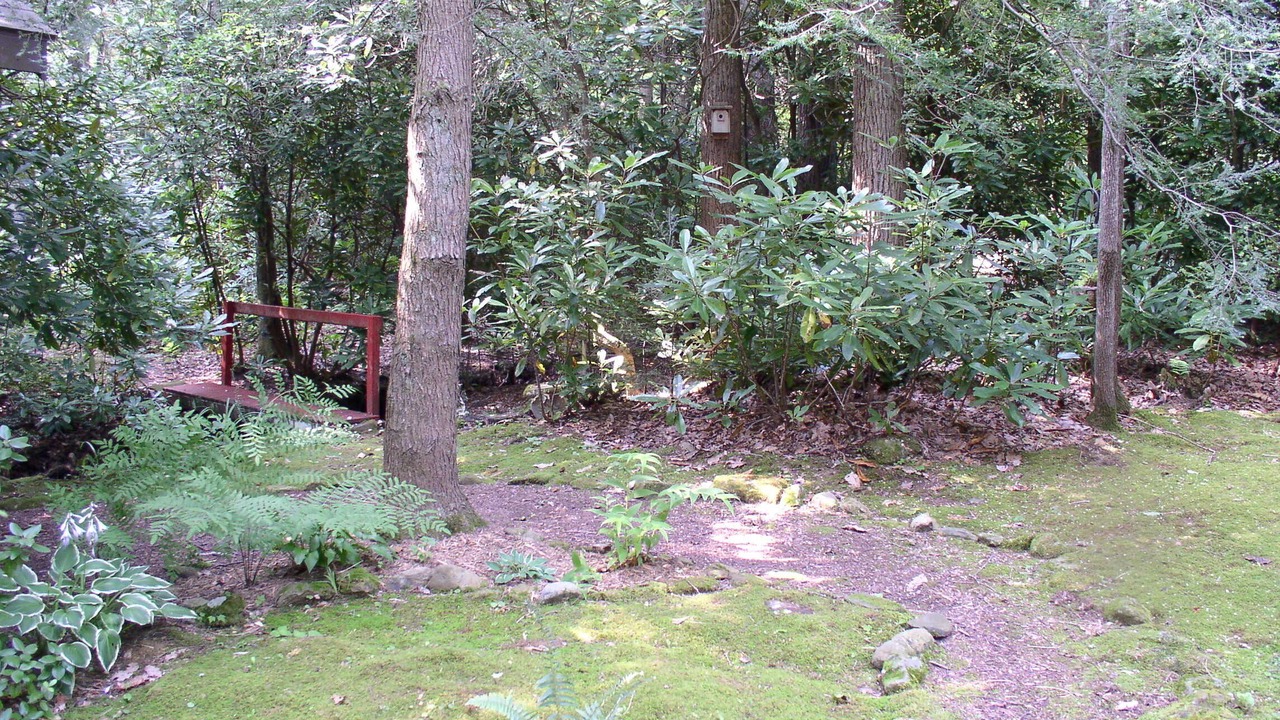 Photo of Others in Candler