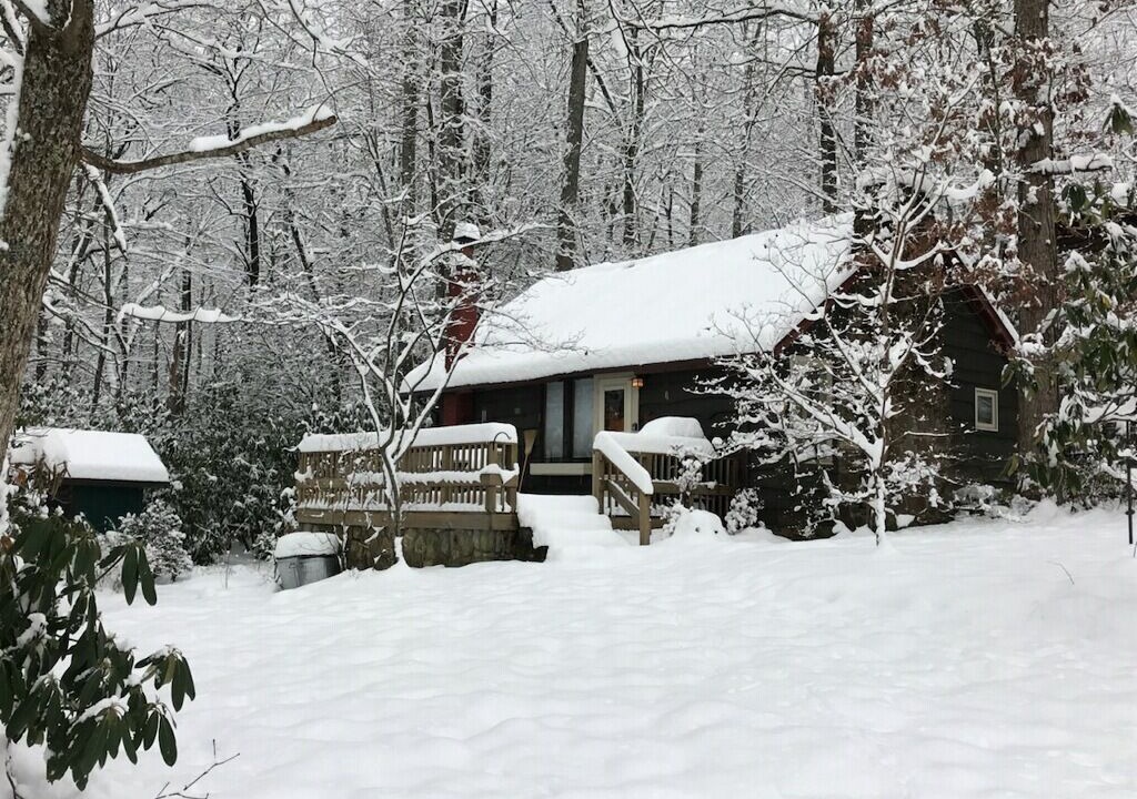 Photo of Others in Candler