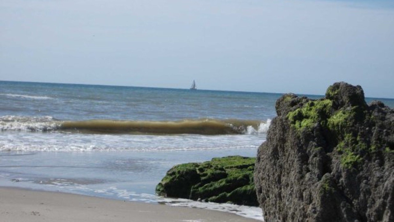 Photo of Others in Hardelot-Plage
