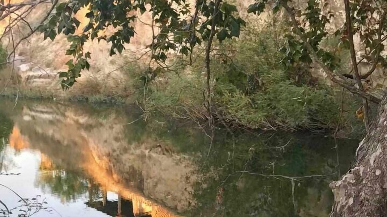 Photo of Others in Fredericksburg