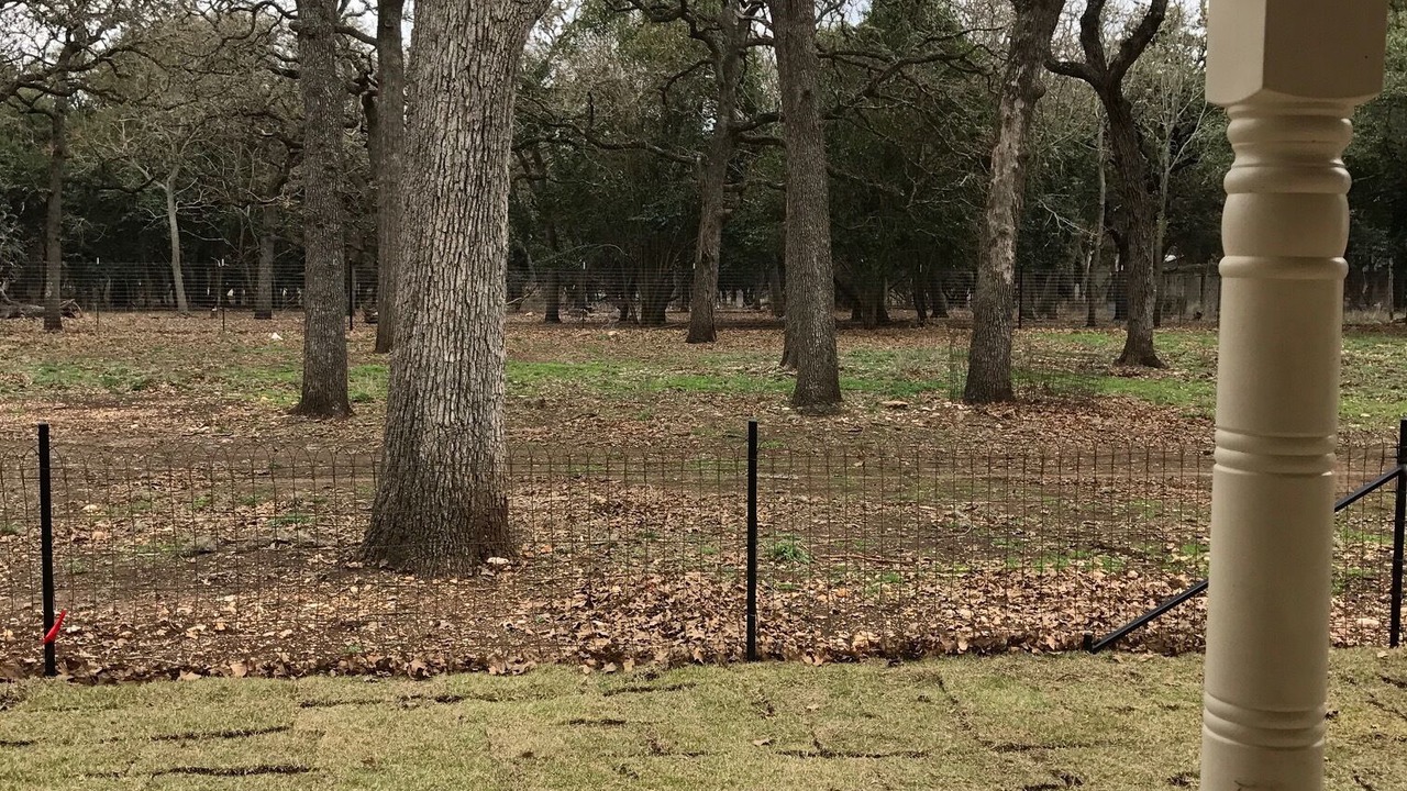 Photo of Outdoor in Boerne