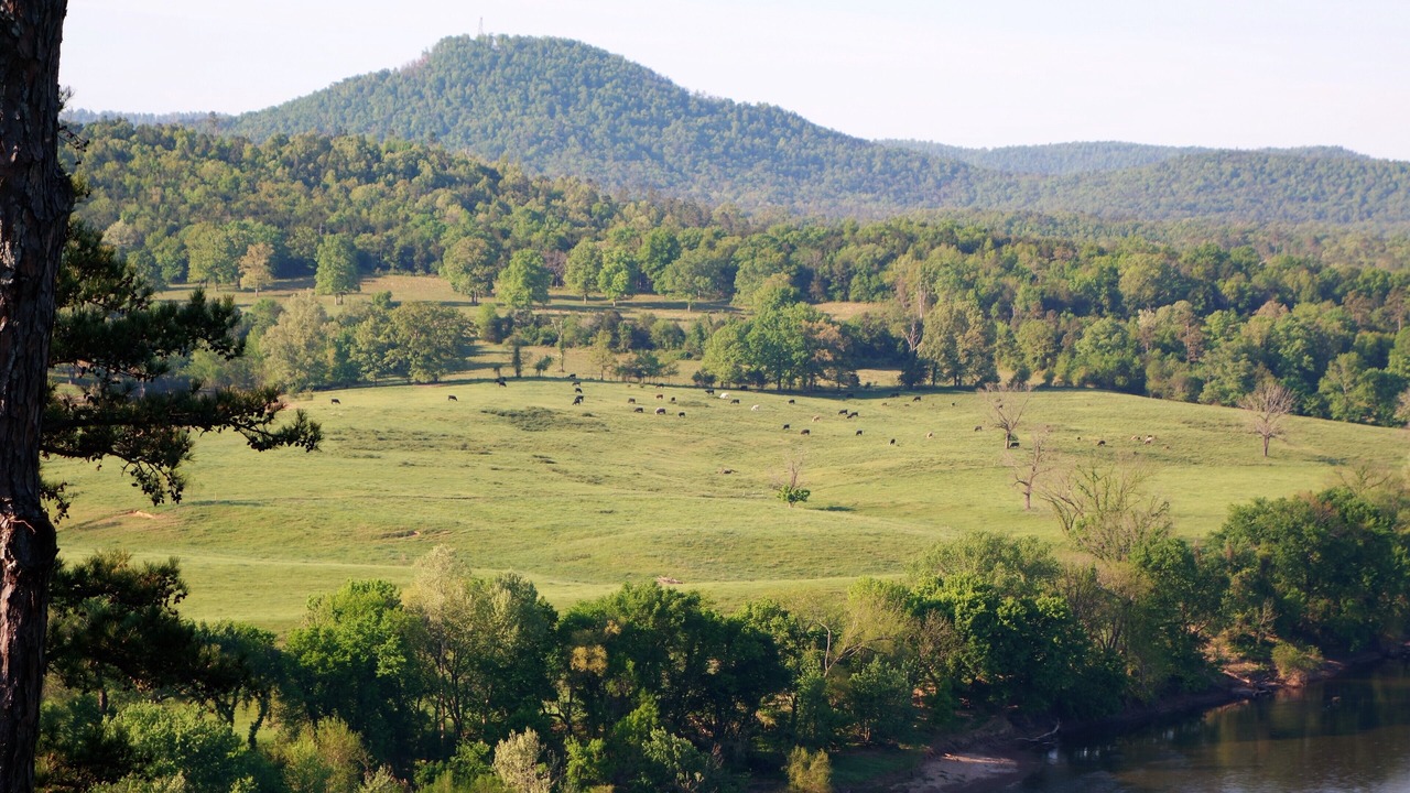 Photo of Others in Calico Rock