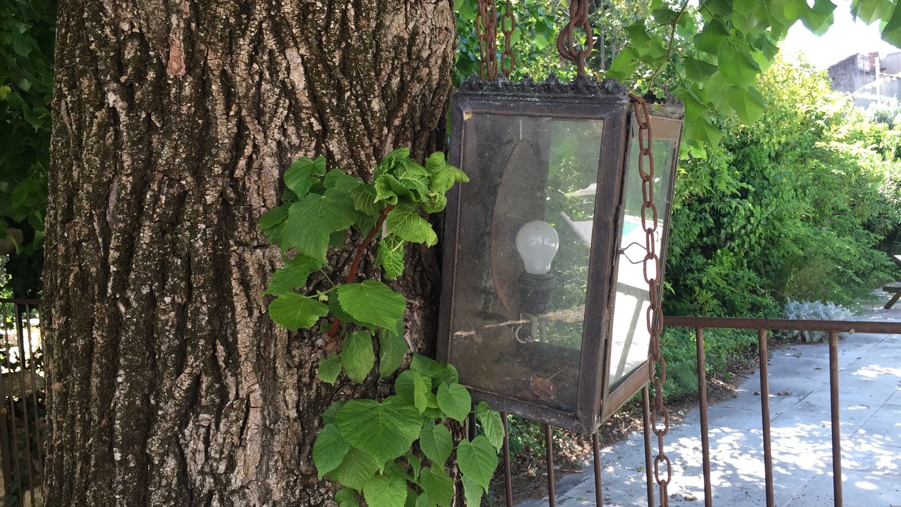 Photo of Outdoor in Saint-Laurent-d'Aigouze
