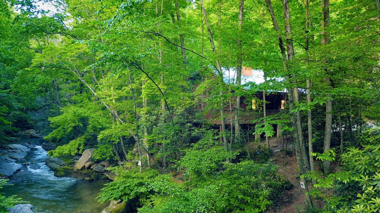 Photo of Others in Millers Creek