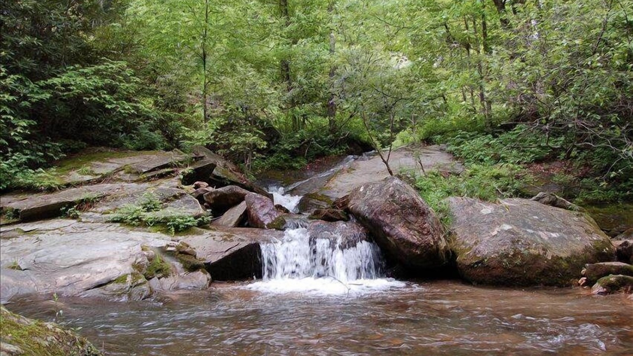 Photo of Others in Millers Creek