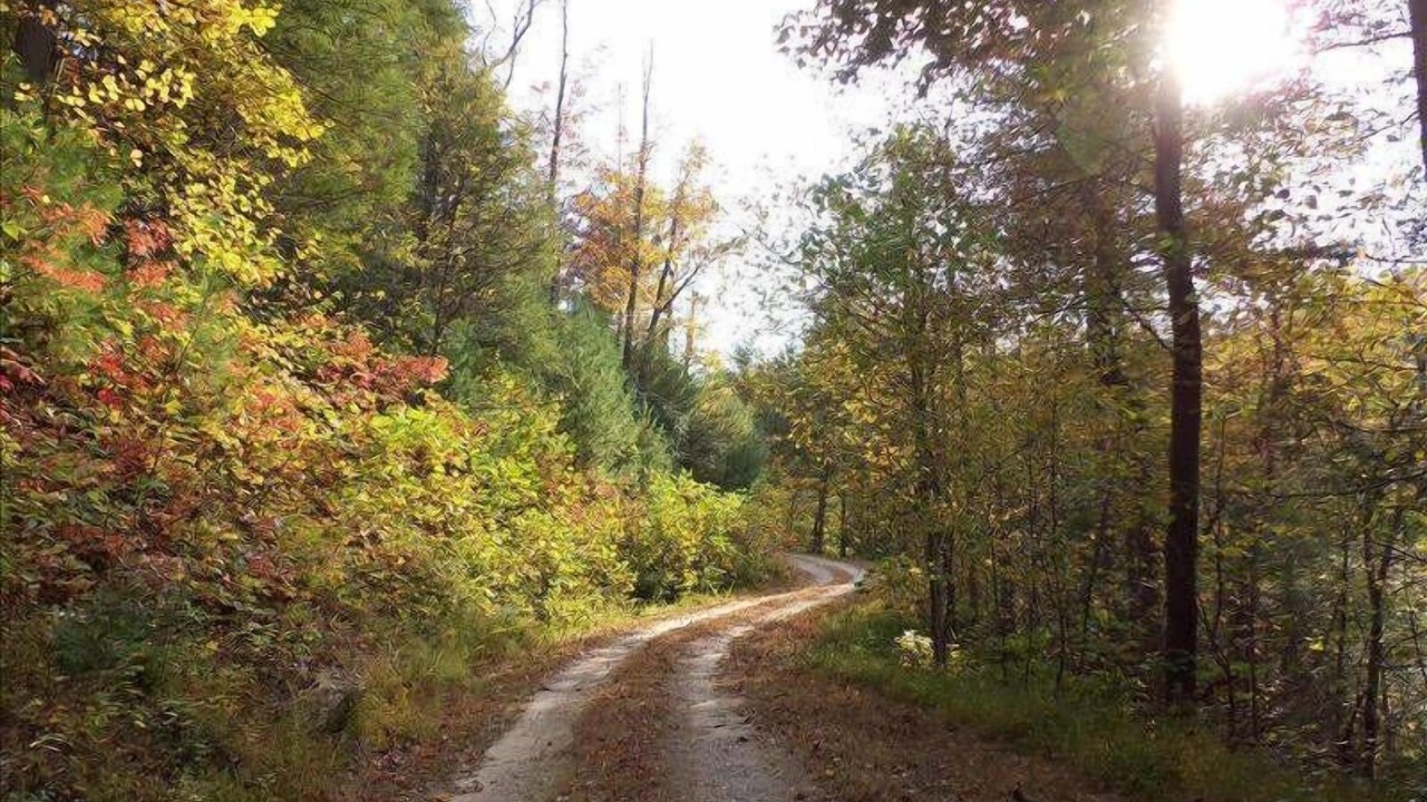 Photo of Others in Millers Creek