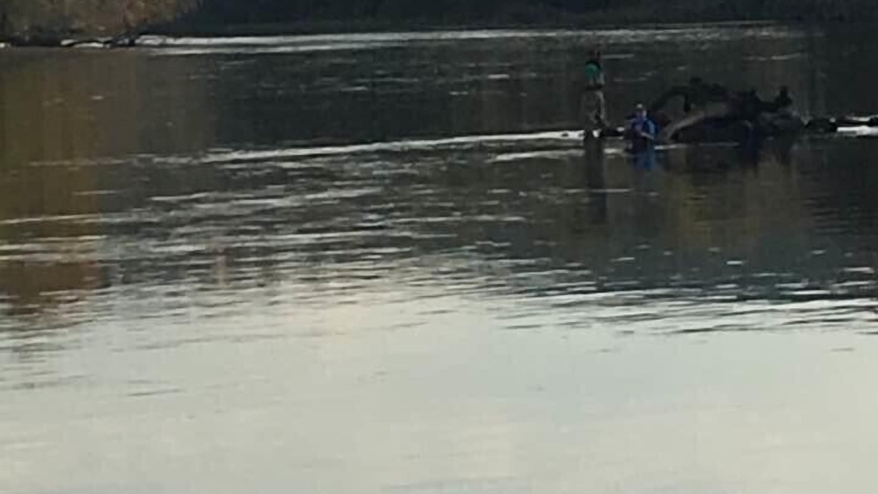 Photo of Others in Branson