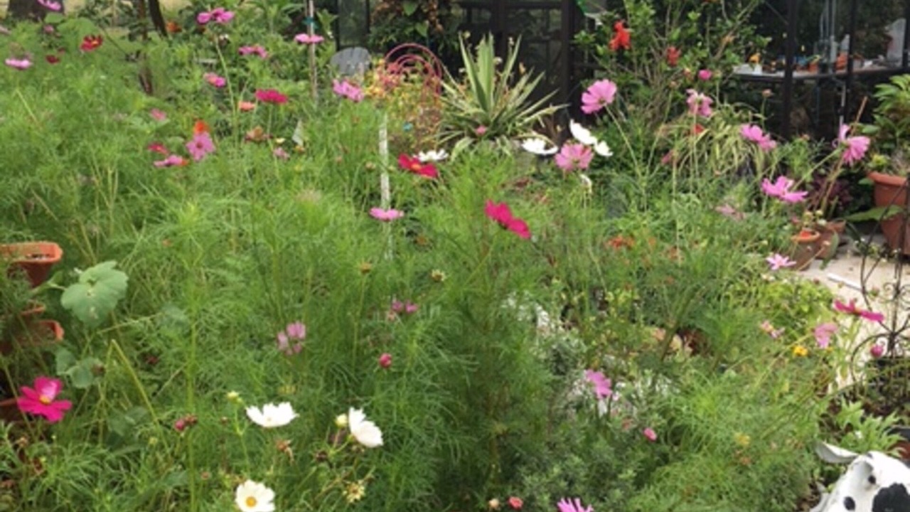 Photo of Outdoor in Shiner