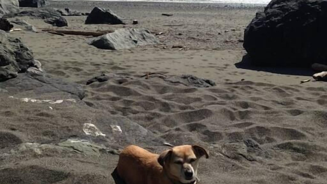 Photo of Others in Arcata